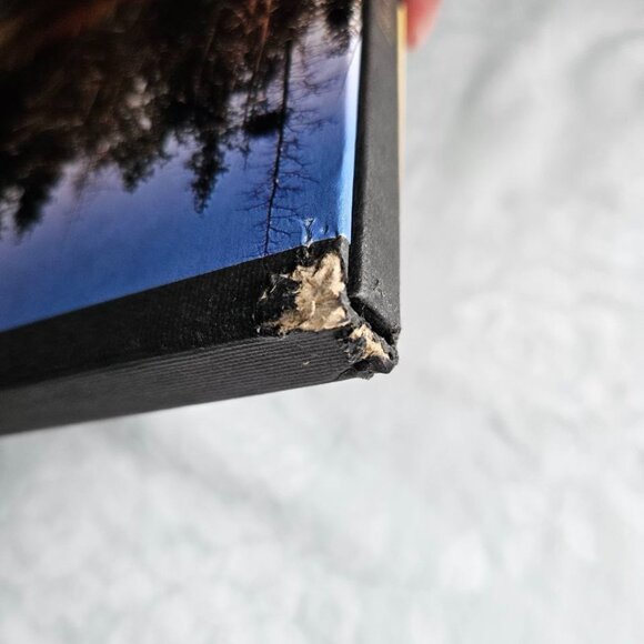 1999 - The Collection of Canada's Stamps Book - Without Stamps - Picture 8 of 10